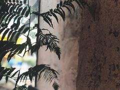 -Kekimatata 生日蛋糕·烘焙教学