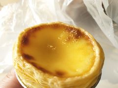 -丽莎蓓甜CAKE生日蛋糕·动物奶油(石家庄店)