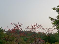 -广州雕塑公园