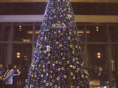 -三迪希尔顿酒店·星空酒廊