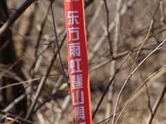 -大觉寺-停车场