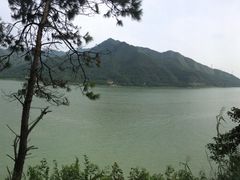 -羚羊峡古栈道森林公园