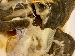 清蒸多宝鱼-聚春园自助餐厅(东街口店)