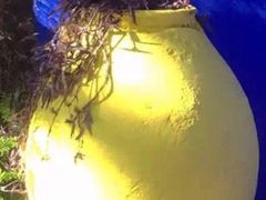 -马洛雷勒花园