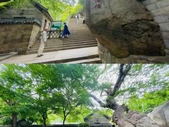 -青岛崂山太清宫