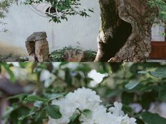-沧浪亭