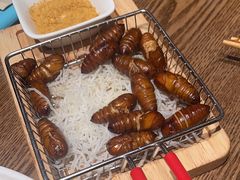 -鸽子窝(青塔店)
