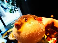 -永安鱼庄·镇江菜(东吴路店)