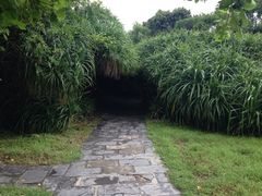 iphone_upload_pic-鹅銮鼻灯塔