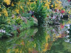 -深圳仙湖植物园