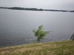 -丁香湖公园