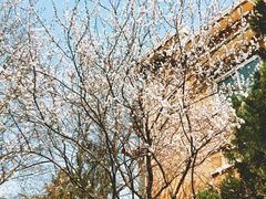-大连理工大学(凌水校区)