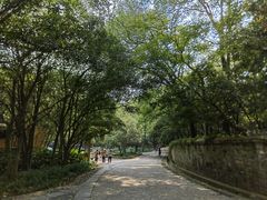 -灵谷景区