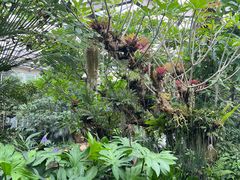 -昆明植物园