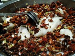 -清真·锦翔炝锅鱼(明德门店)