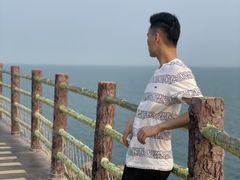 -广东惠东海龟国家级自然保护区
