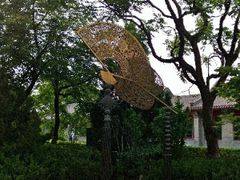 绿植-菖蒲河公园