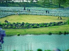 -上海辰山植物园
