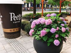 -Peet's Coffee皮爷咖啡(大学路店)