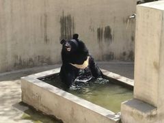 -保定市动物园