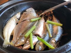 -五稻厨房粤西菜(新闻店)