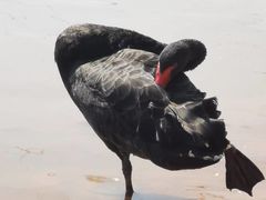-鄱阳湖国家湿地公园