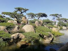 -罗红摄影艺术馆