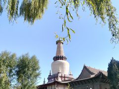 -张掖大佛寺景区