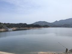 -酒仙湖景区