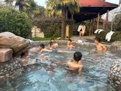 -金孔雀温泉旅游度假村