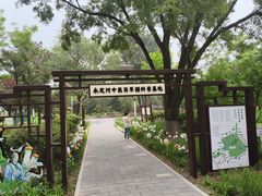 -绿堤公园