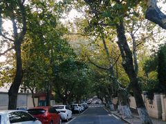 -八大关景区