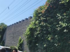 -朴园