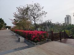 -金鸡岭桥头公园