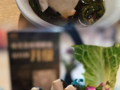 -猪无忌·专做猪肚包鸡20年(乐峰广场店)