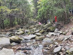 -香炉山国家森林公园