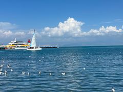 -青海湖国家重点风景名胜区