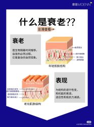 点击看大图 -玛莲朵·海菲秀冰珀科