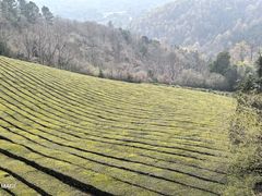 -敬亭山风景名胜区