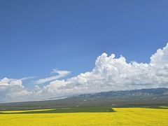 -青海湖国家重点风景名胜区