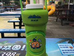 -武汉玛雅海滩水公园