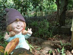 -北京呀路古热带植物园