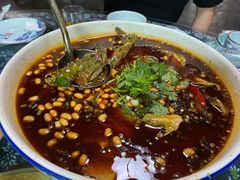 -青城甲(青城山店)