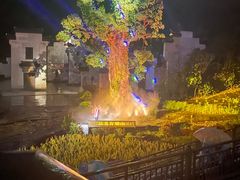 -婺源梦里老家大型山水实景演出