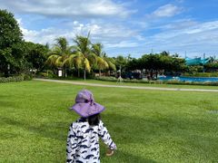 -渔家火锅·海鲜自助餐·演艺(亚龙湾天域酒店)