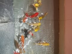 -坎爷秘制火锅(一格广场店)