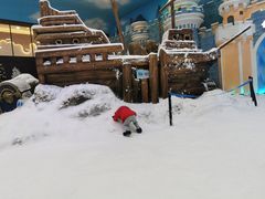 -世界之窗阿尔卑斯冰雪世界