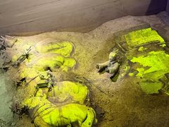 -秦始皇帝陵博物院-丽山园