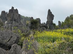 -泥凼石林风景区