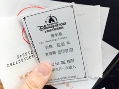 -迪士尼乐园停车场